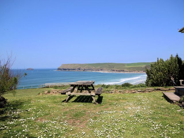 Gullsway: Kittiwake - 1080270 - photo 3