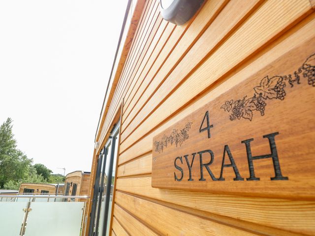 Syrah - 1081444 - photo 3
