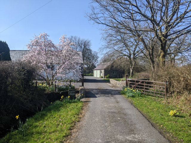 Carreg Cennen Cottage - 1082972 - photo 3