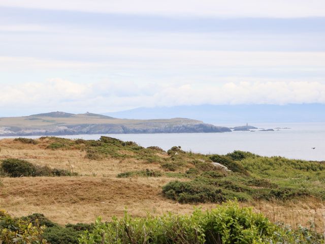 Bryn Meilw - 1083154 - photo 3