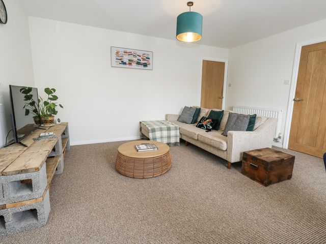 Beachcomb - 1083686 - photo 5