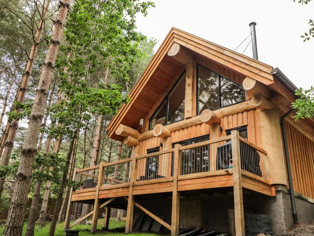 Pine Marten Lodge - 1084022 - photo 4