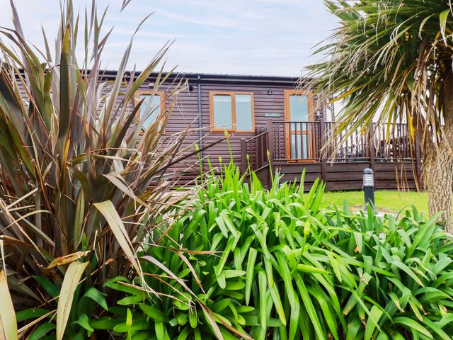 A garden with plants and a house in the background at Chi Prenn Byhan Tintagel