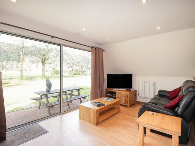 Owl Lodge - 1087794 - photo 2