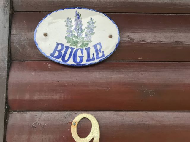 Bugle - 1087961 - photo 3