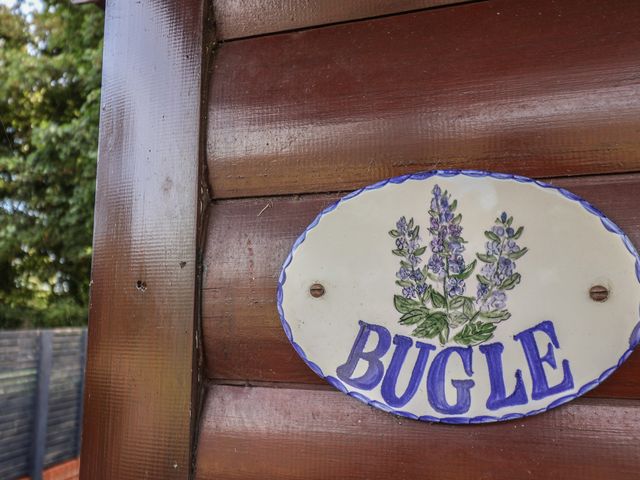 Bugle - 1087961 - photo 2