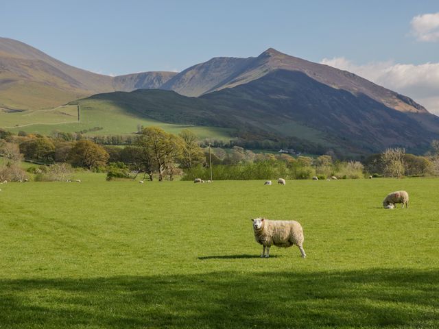 Ashness - 1088863 - photo 2
