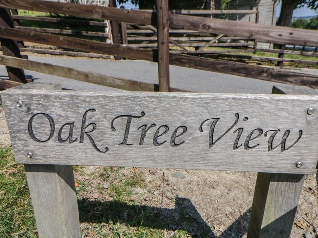 Oak Tree View - 1090728 - photo 2