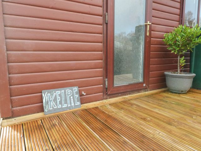 Kelpie - 1093145 - photo 3