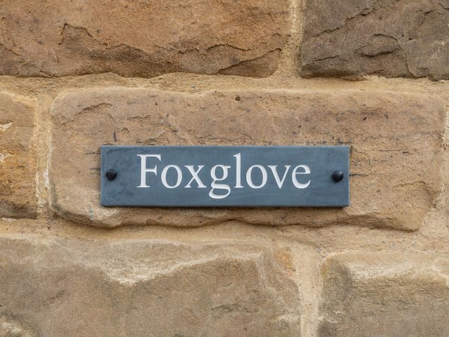 Foxglove - 1095863 - photo 3