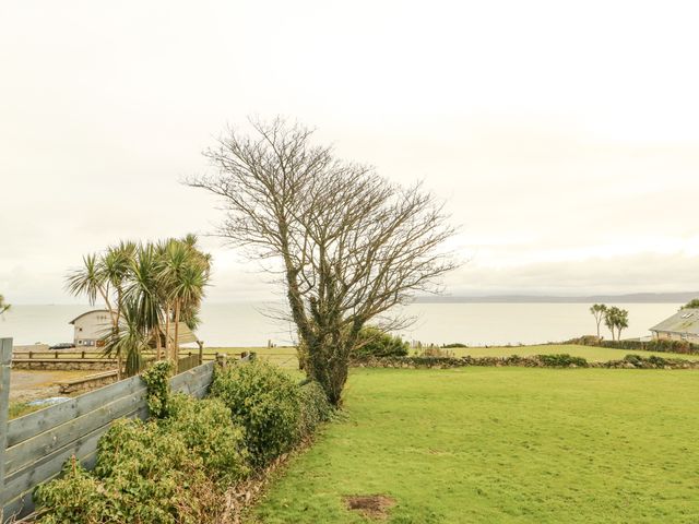 A grassy yard with a leafless tree and palm trees by the sea at Bryn Teg Cottage in Moelfre