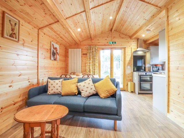 Buttercup Lodge - 1096657 - photo 5