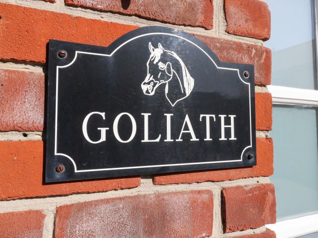 Goliath - 1096825 - photo 4