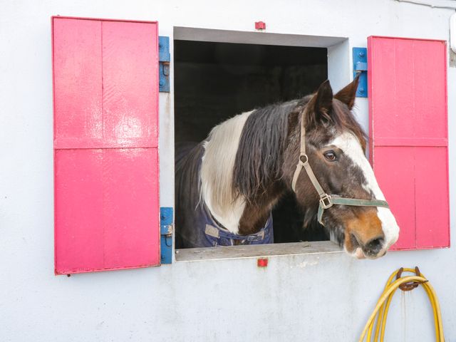 Bohans Barn - 1097294 - photo 5