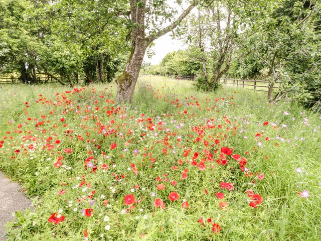 Bohans Barn - 1097294 - photo 4