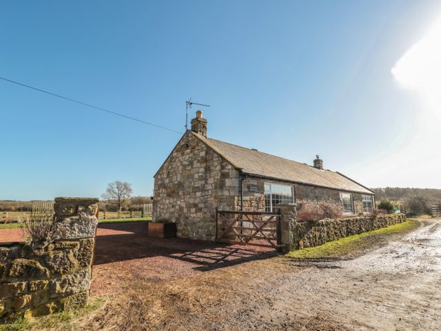 Thistleyhaugh Cottage - 1098272 - photo 4