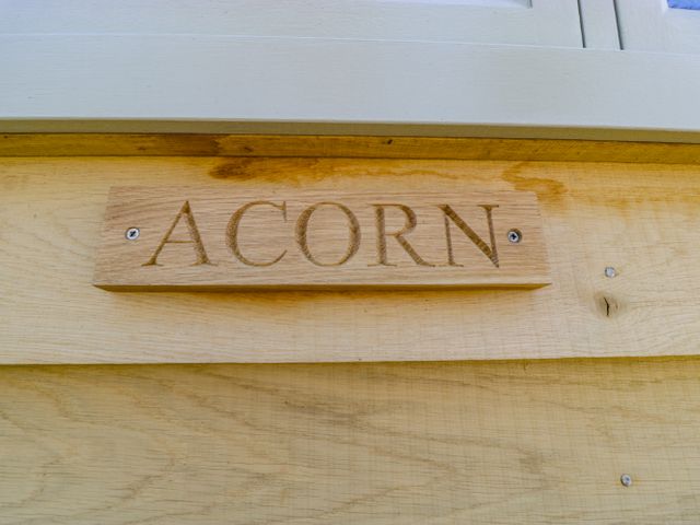 Acorn - 1099593 - photo 3