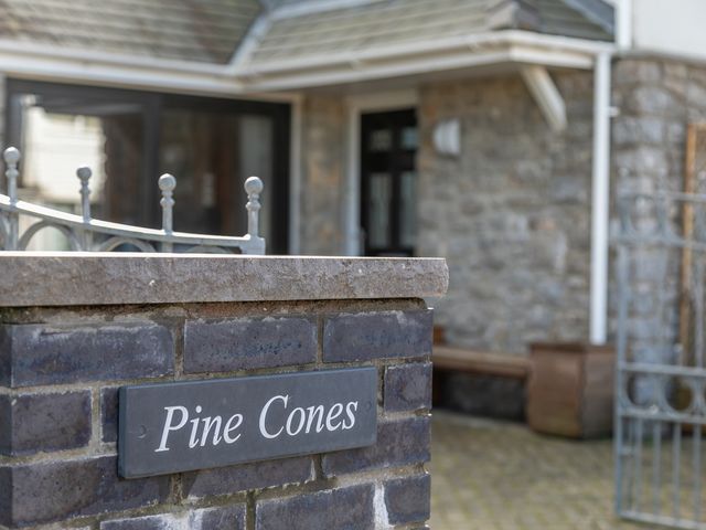 Pine Cones - 1100379 - photo 2