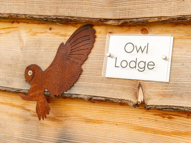 Owl Lodge - 1100431 - photo 2