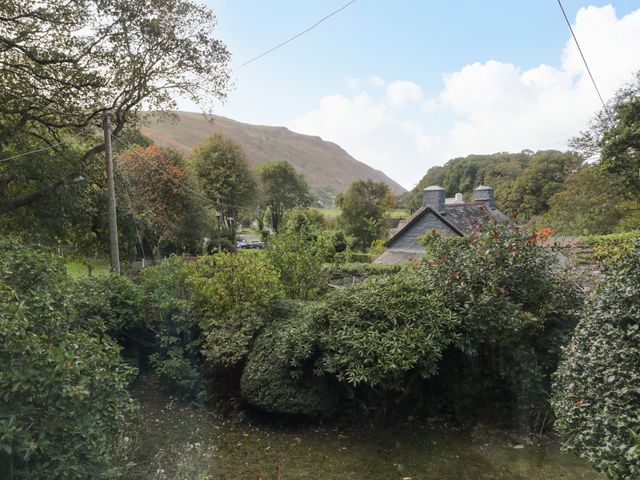 Hen Bopty - 1100778 - photo 3