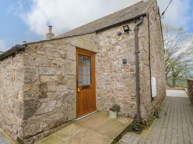 Torties Cottage - 1102161 - photo 2