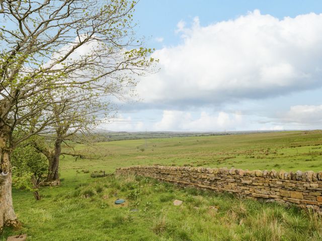 Torties Cottage - 1102161 - photo 3