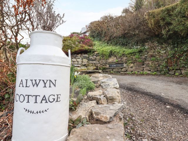 Alwyn Cottage - 1103263 - photo 3