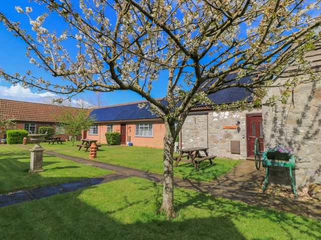 A garden with trees and picnic tables at Carthouse in Brean