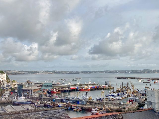 A harbor with boats docked and buildings near the water at Bay View in Brixham