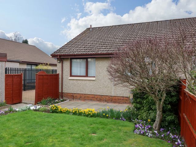 A garden with flowers and pathway at 48 Edenbank Road Cupar, Fife