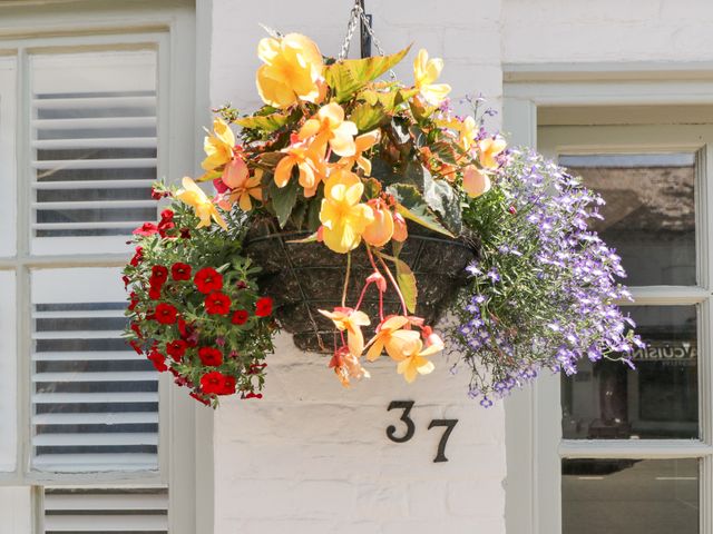Cuckoo Cottage - 1109351 - photo 4