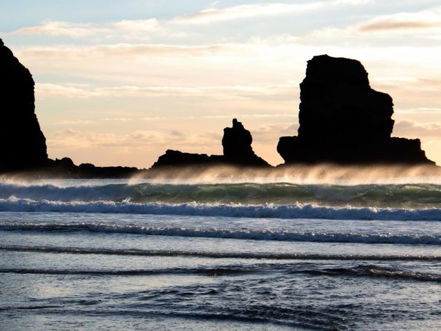 Saltwinds - 1110735 - photo 3