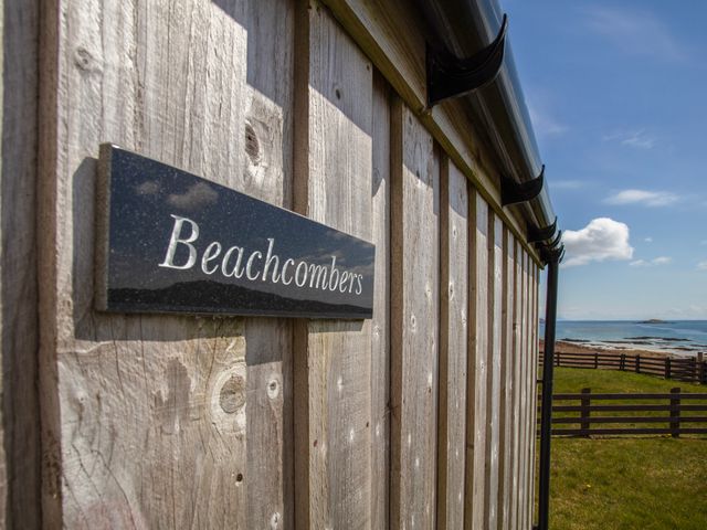 Beachcombers - 1110767 - photo 4