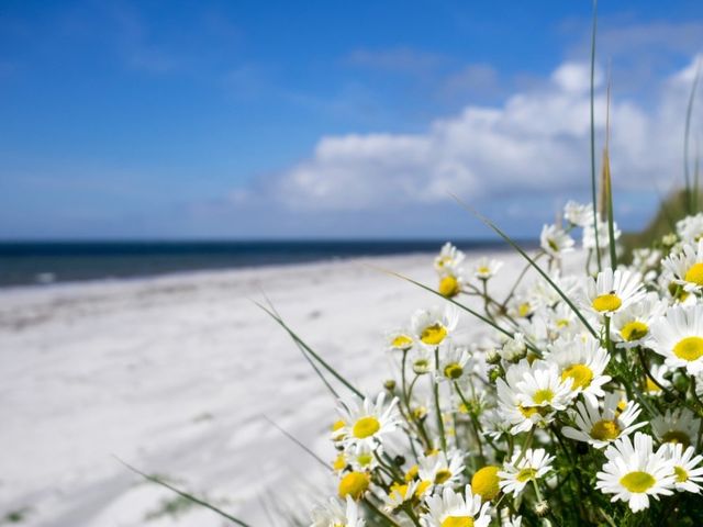 Fuidaigh - 1110781 - photo 2