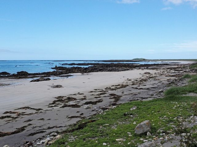 Lingeigh - 1110832 - photo 3