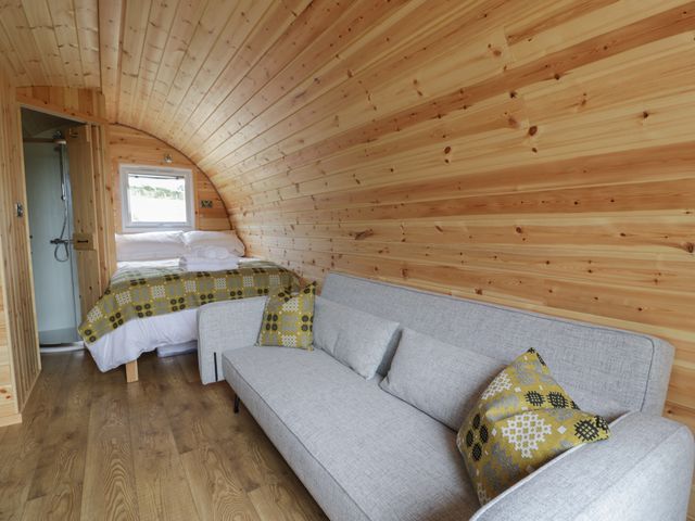 Dysynni Pod - 1112318 - photo 4