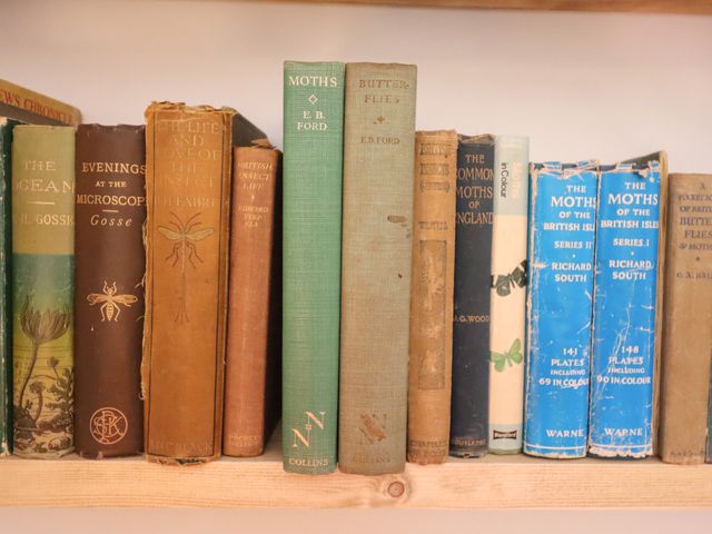 Warren Cottage - 1112649 - photo 5
