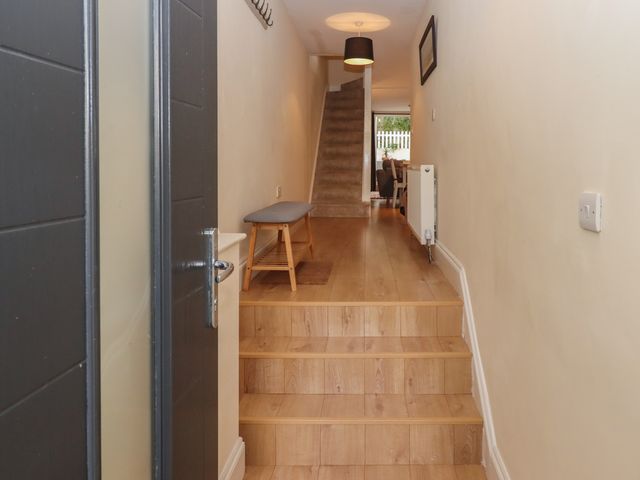 Mimosa - 1112964 - photo 3