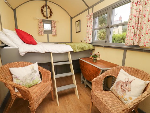 Brown Hare Shepherds Hut - 1114575 - photo 3
