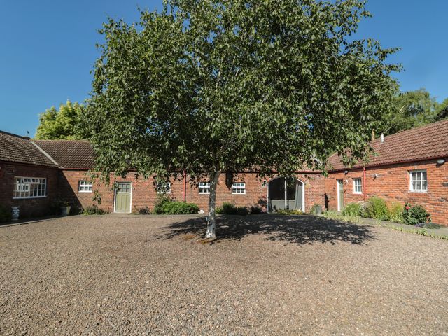 Silverbirch - 1115700 - photo 2