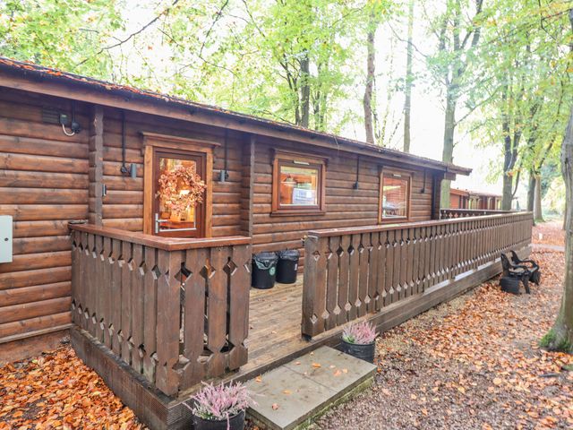 Leafy Hollow Lodge - 1116205 - photo 2