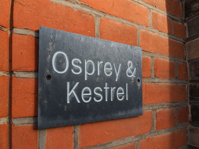 Kestrel and Osprey - 1116970 - photo 2