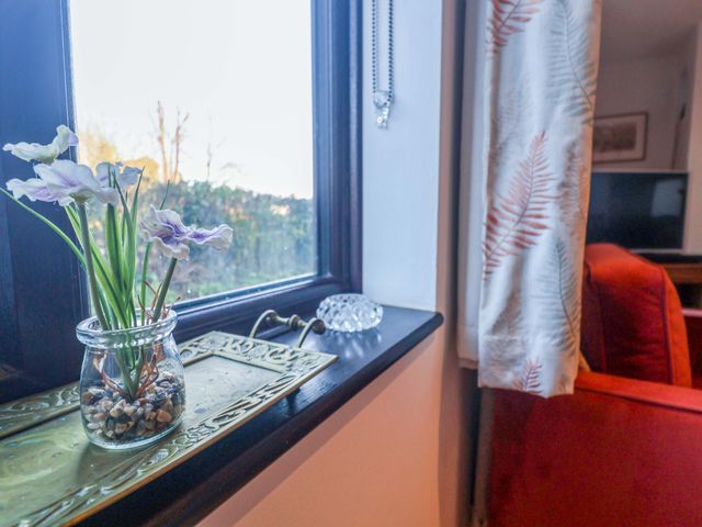 Pine Cottage - 1116984 - photo 5