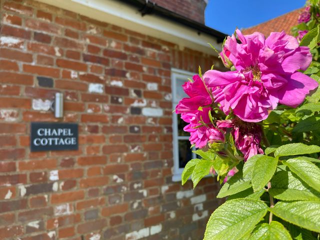 Chapel Cottage, Newbourne - 1117117 - photo 3