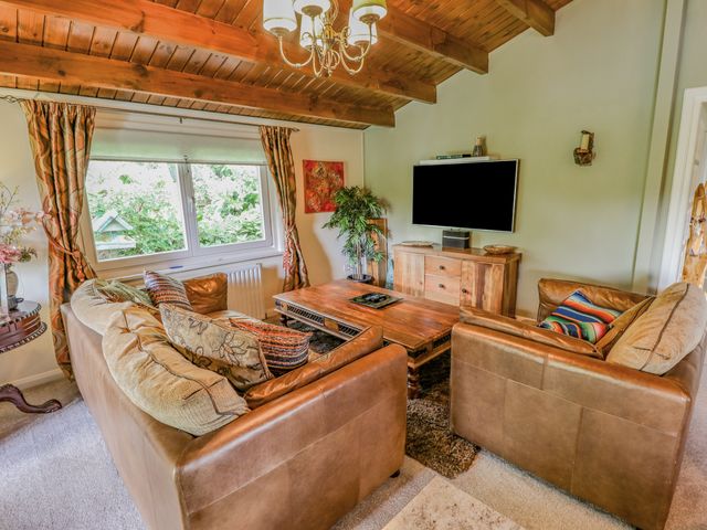 Lakeside Lodge Retreat - 1117931 - photo 5