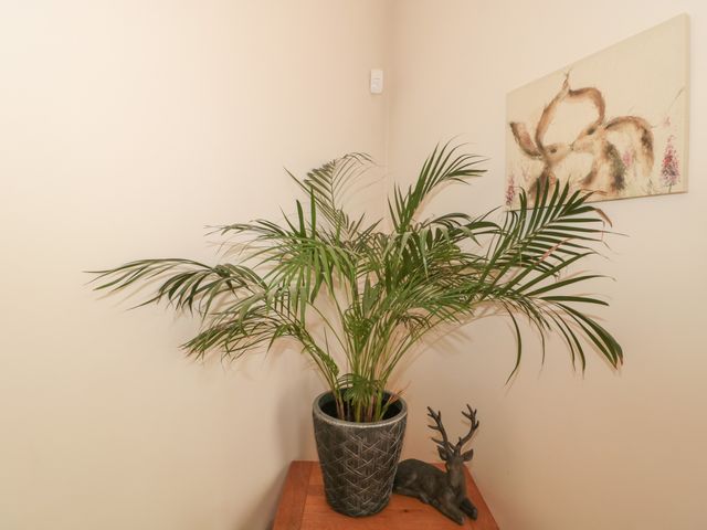 Pips Hideaway - 1119272 - photo 4