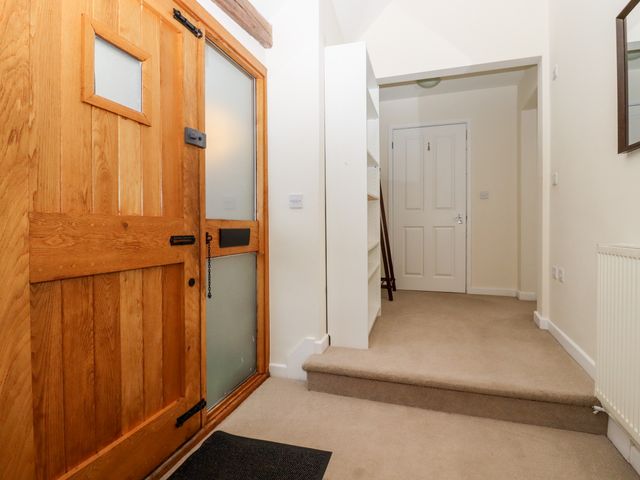Little Batts - 1119331 - photo 3
