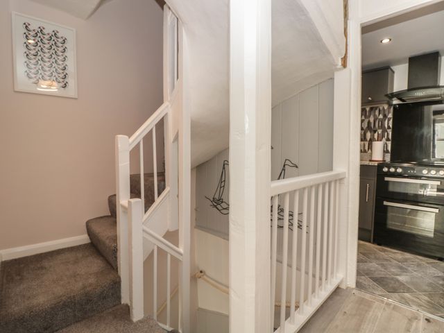 Ocello - 1120963 - photo 5