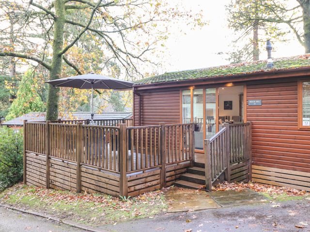 Treetops - 1121721 - photo 2
