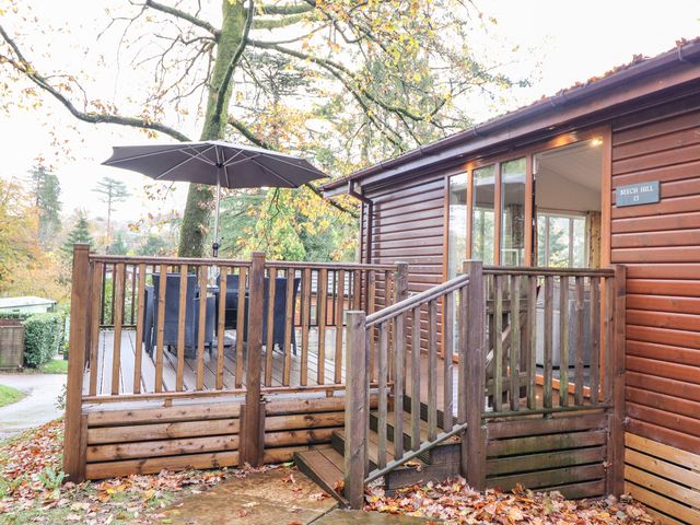 Treetops - 1121721 - photo 3